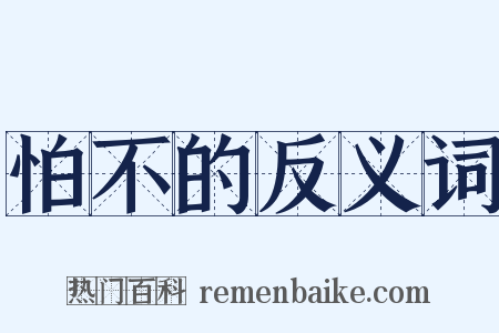 怕不的反义词是什么意思的图片